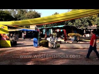 Emporium of various Indian cultures and traditions at Dilli Haat
