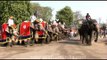 Elephant decoration competition at the Jaipur Elephant Festival