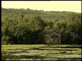 Reminders of the past - Ruins of Raj Bagh inside the Ranthambore National Park