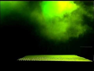 Smoke on the dance floor - Dance night in Gurgaon