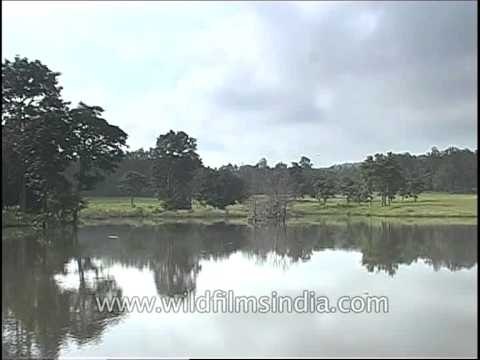 Kanha National Park, Madhya Pradesh