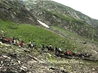 Pony-ride to holy shrine at Amarnath