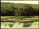 Rich in history & wildlife - Raj Bagh Ruins near Padam Talo (Lake), Ranthambore National Park