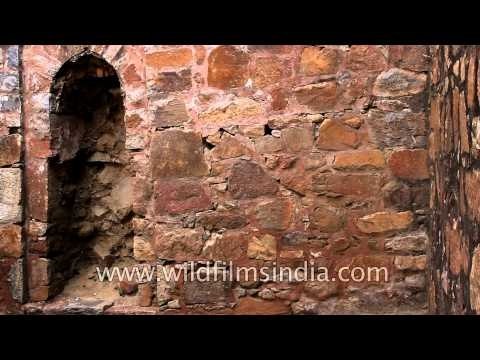 Interior view of Baoli in Wazirpur Group of Monuments, RK Puram