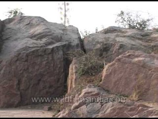 A walk at the Garden of Five Senses