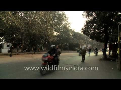 The road to Kalkaji metro station, Delhi