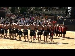 Tug of war using the root of a tree!