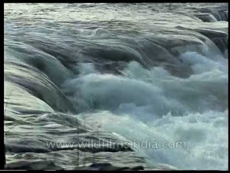 Ken River in Madhya Pradesh - one of the most beautiful rivers!