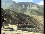 Pilgrims taking the Amarnath shrine route in Jammu & Kashmir