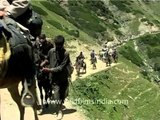 Ponies and riders climb up to Amarnath Shrine in Jammu & Kashmir