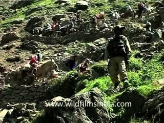 Rough climb towards Amarnath holy shrine!
