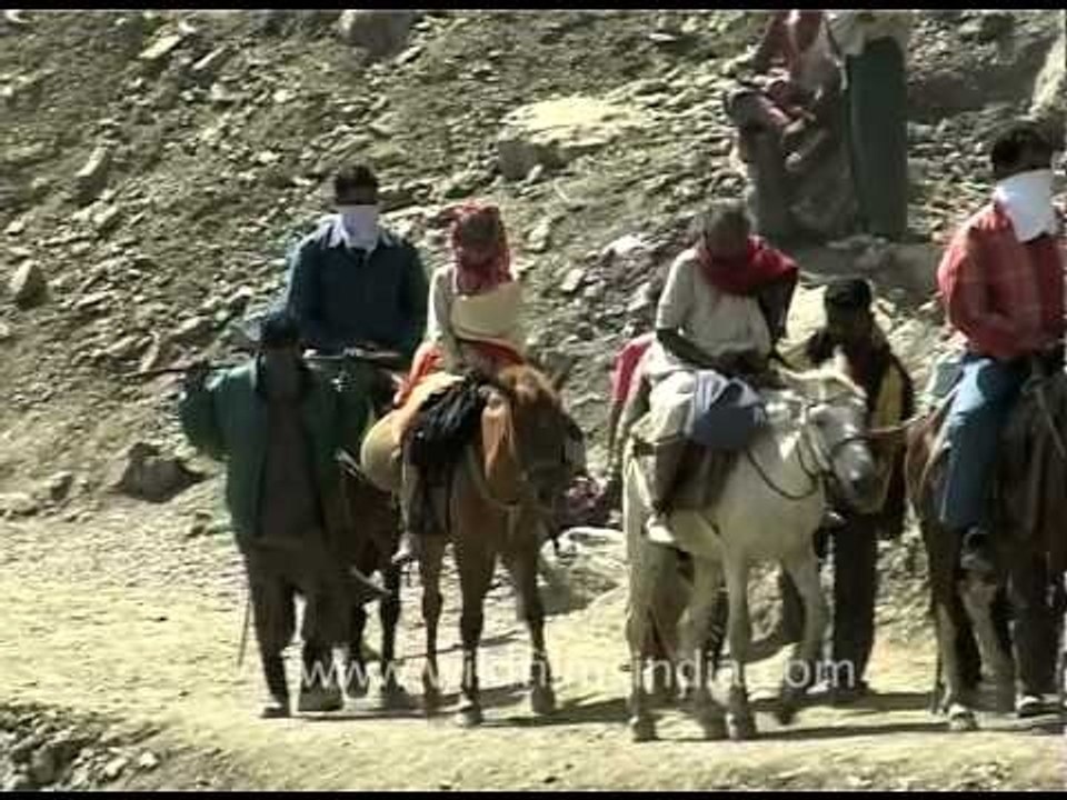 Pony ride towards Amarnath shrine