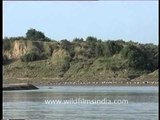 Sambhar Lake - Gift of the Thar desert, Rajasthan