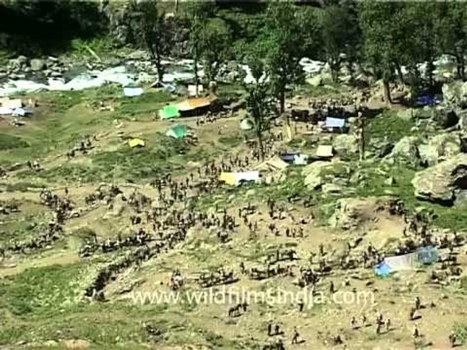 Annual Amarnath pilgrimage attracts hundreds and thousands of Hindu devotees