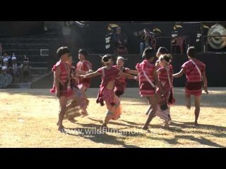 Dance troupe from Arunachal pradesh performing at Hornbill festival, Nagaland