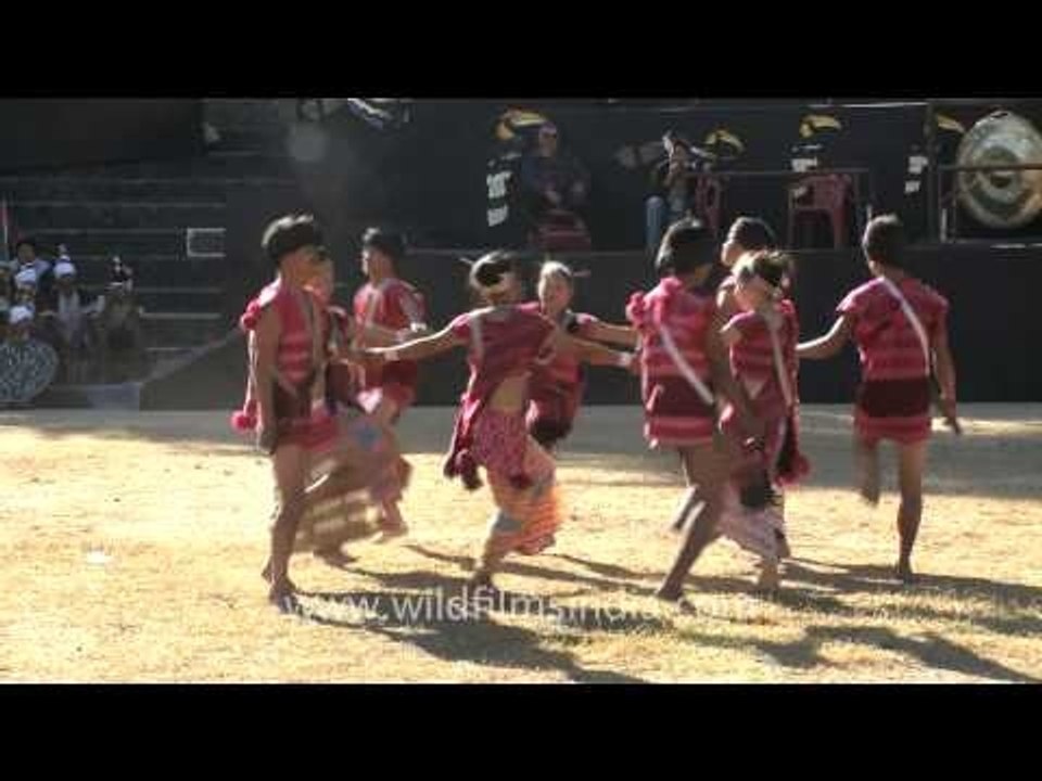 Dance troupe from Arunachal pradesh performing at Hornbill festival, Nagaland