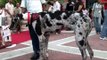 Dalmatian searches for soulmate at India's first dog marriage ceremony - Ansal Plaza, Delhi