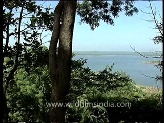 Pench river flowing in the edging areas of Pench National Park