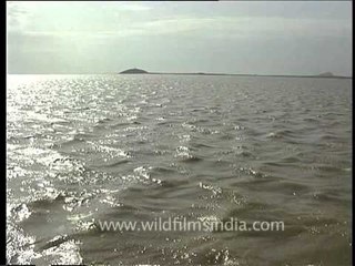 Walking on the surface of the sea? Sambhar Salt Lake, Rajasthan