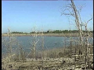 The scenic Pench river backwaters near Pench National park, Madhya Pradesh