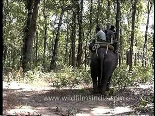 Kanha National Park Elephant Safari