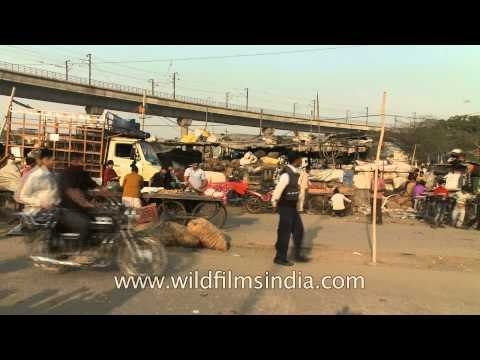 Bombardier entering Okhla metro station as seen from Okhla marketplace
