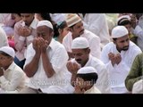 Eid-ul-Zuha or Bakr Eid: a documentary film