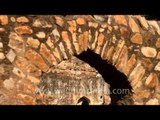 Our national treasure in tatters - Zafar Mahal, Mehrauli