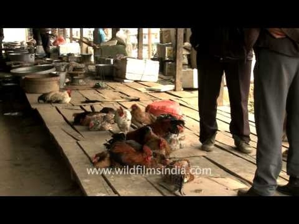 Locally bred live chicken on sale at Senapati bazaar, Manipur
