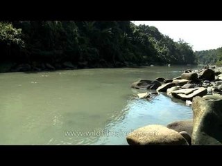 Doyang River: True essence of Nagaland
