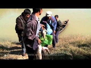 Community fishing at Doyang river in Nagaland