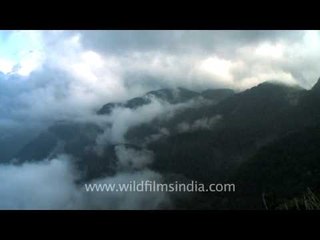 The rolling clouds kiss the gentle slopes of Dzukou Valley, Nagaland.