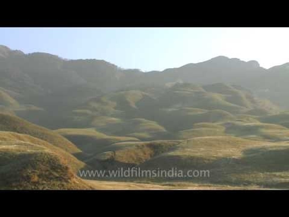 Sun rays gleaming over the charming Dzukou valley of Nagaland