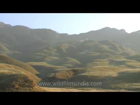 Sun rays gleaming over the charming Dzukou valley of Nagaland
