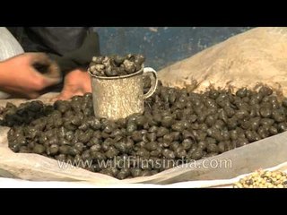 Live snails for eating, in India