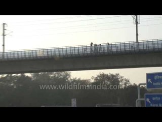 Traffic under Airport metro line, New delhi