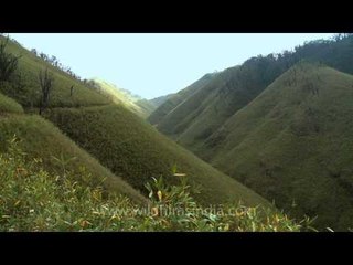 Dzukou valley - The charming valley of Nagaland