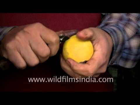 Peeling off fresh oranges at a roadside juice corner, Delhi