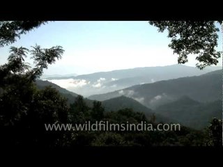 Scenic beauty of Nagaland on the way to Wokha from Kohima