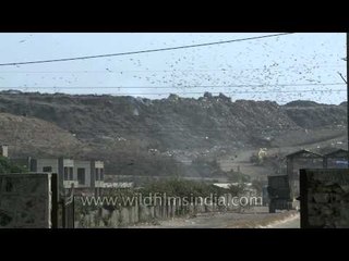 Ghazipur garbage dump near East Delhi