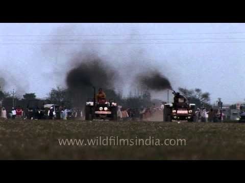 Tractor racing sport at Rural Olympics
