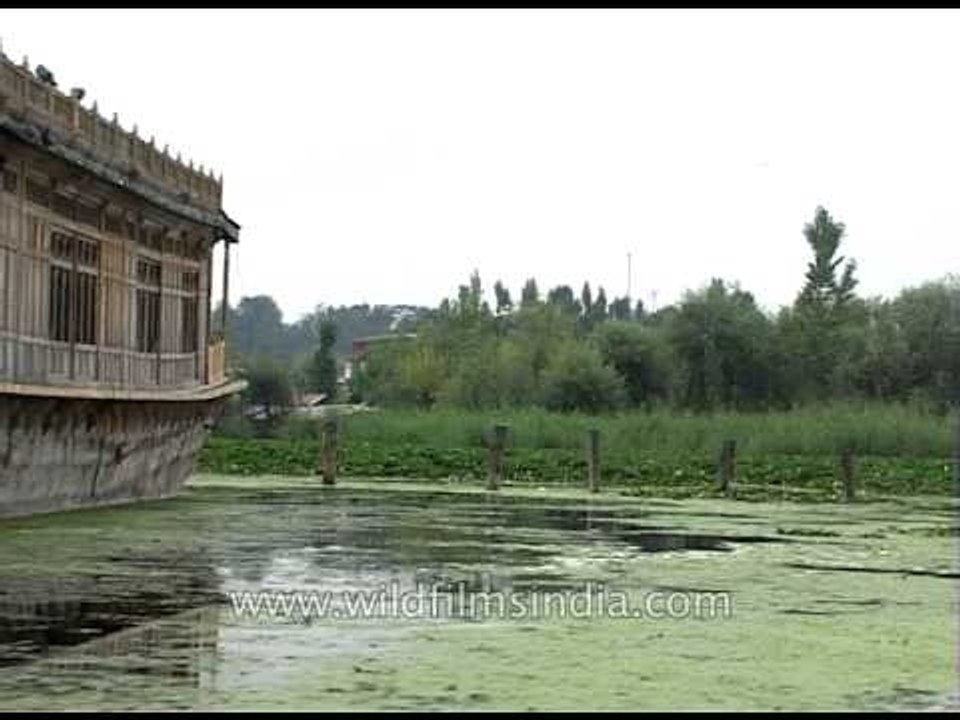 Dal Lake dries up but house-boats retain the old charm