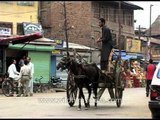 Taanga: Traditional Transport on the streets of Srinagar