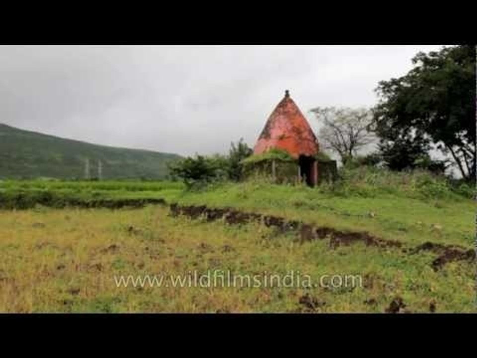 An old temple amid farmland in Maharashtra