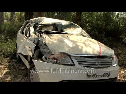Drunk driving or bad traffic sense - reasons for Indian road accidents?