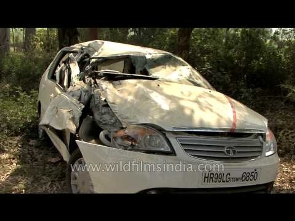 Drunk driving or bad traffic sense - reasons for Indian road accidents?
