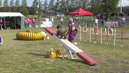 TROPHEE  2014 ELIOK M1