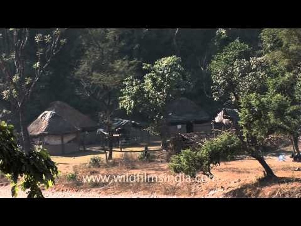 Gujjar dera inside Rajaji National Park near the foothills of Himalayas
