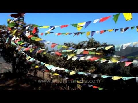 Flag hill, Jabbarkhet - with Tibetan prayer flags!