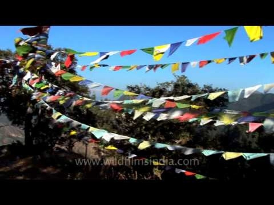 Flag hill, Jabbarkhet - with Tibetan prayer flags!